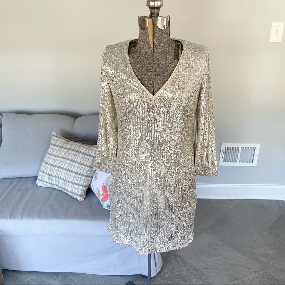 NWT Silver, and cream, Eliza J, double layered sequence dress - Picture 11 of 13